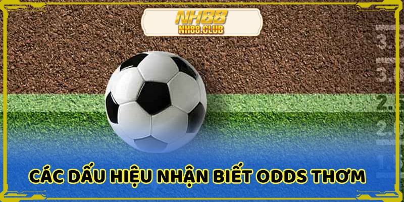 Các dấu hiệu nhận biết cơ bản